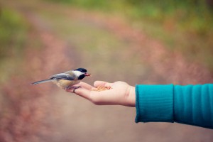 re-integratie tweede spoor