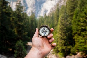 jamie-street-382722-unsplash loopbaanadvies